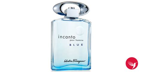 incanto pour homme perfume